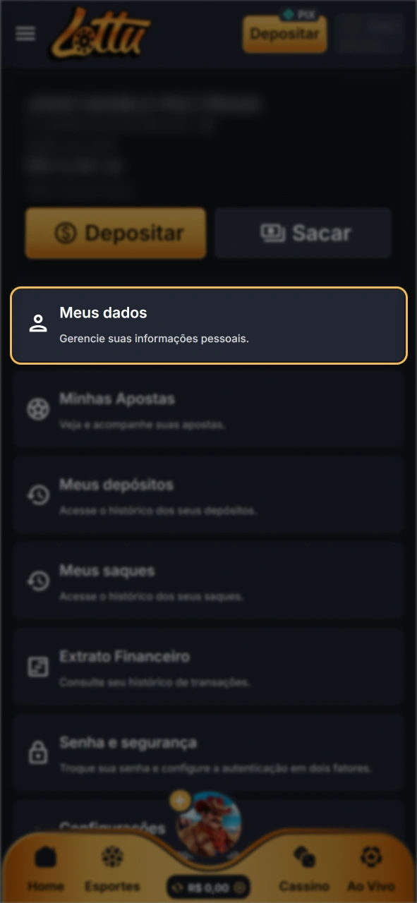 Aguarde até que sua conta Lottu seja verificada.